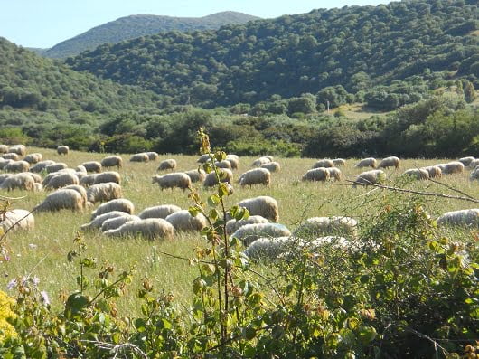 bici-sardegna-7