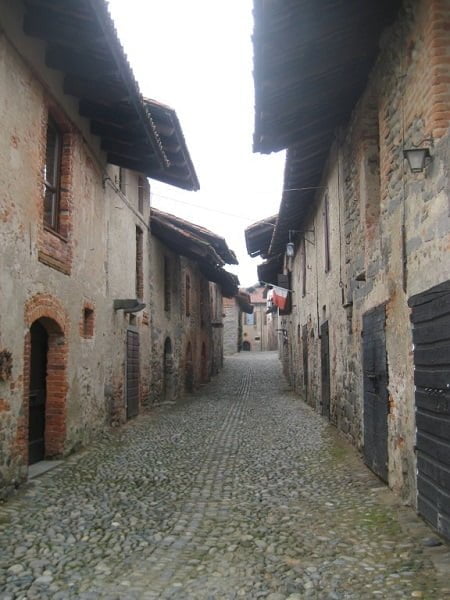 fig 5 - Rue