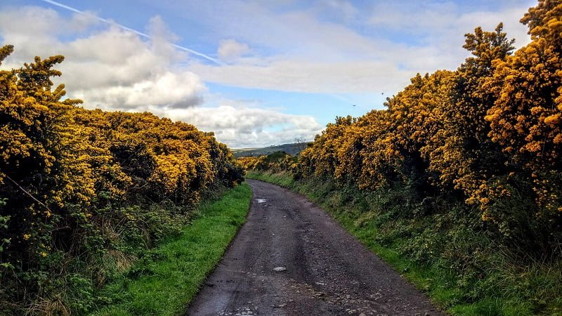 Yorkshire