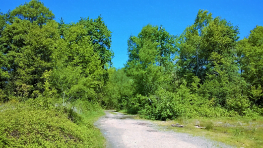 oleggio-bici-11