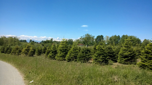 oleggio-bici-14