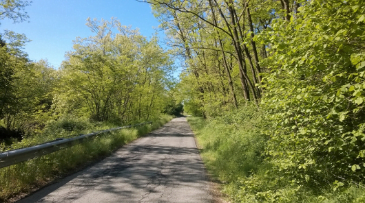 oleggio-bici-2