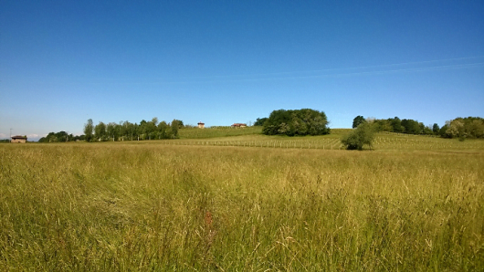 oleggio-bici-3