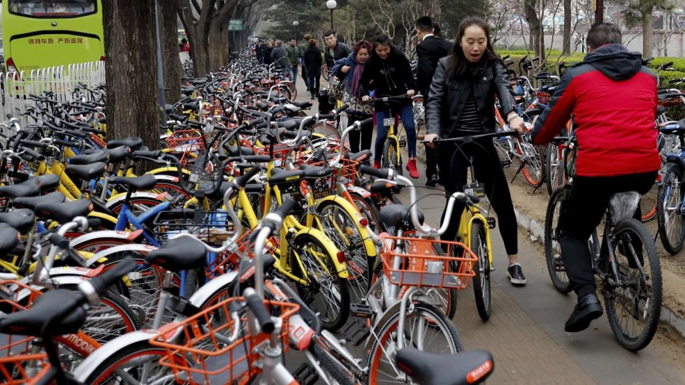 8 mila biciclette per il bike sharing: Firenze rischia grosso