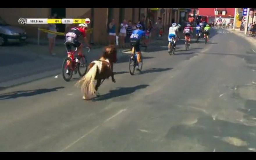 pony fra i ciclisti