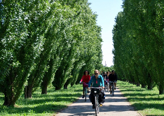 Perché Pavia sarà la capitale italiana del cicloturismo