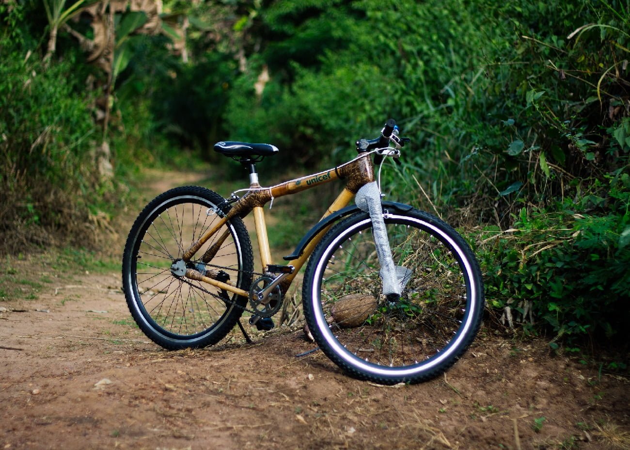 mtb in bambù