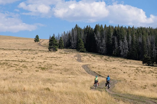 In bici tra Great Divide e Yellowstone National Park