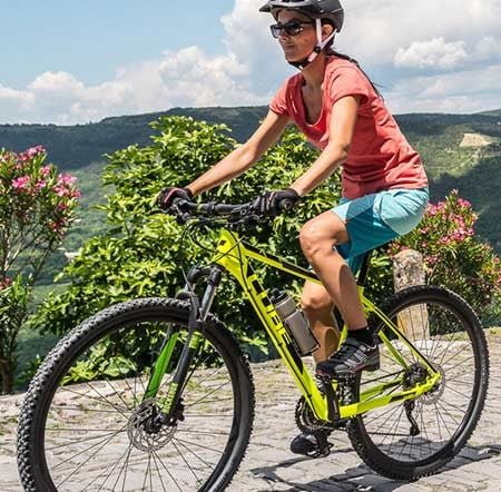 mtb entry level