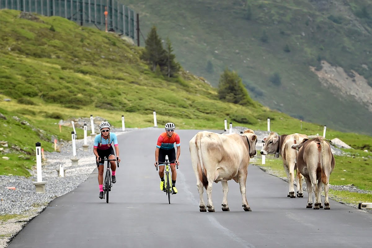 percorsi mondiale ciclismo UCI 2018