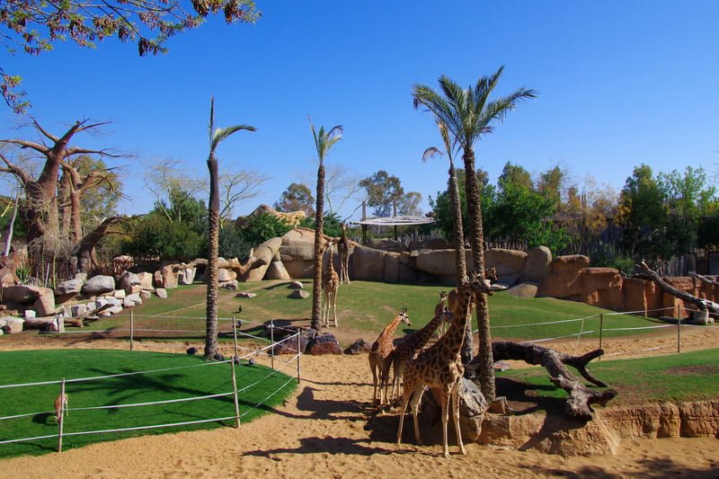 bioparc-valencia