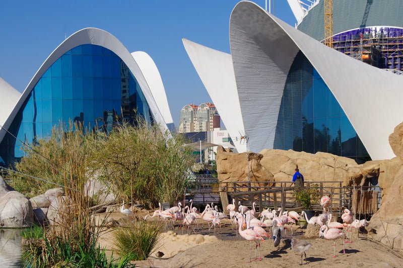 valencia-spagna