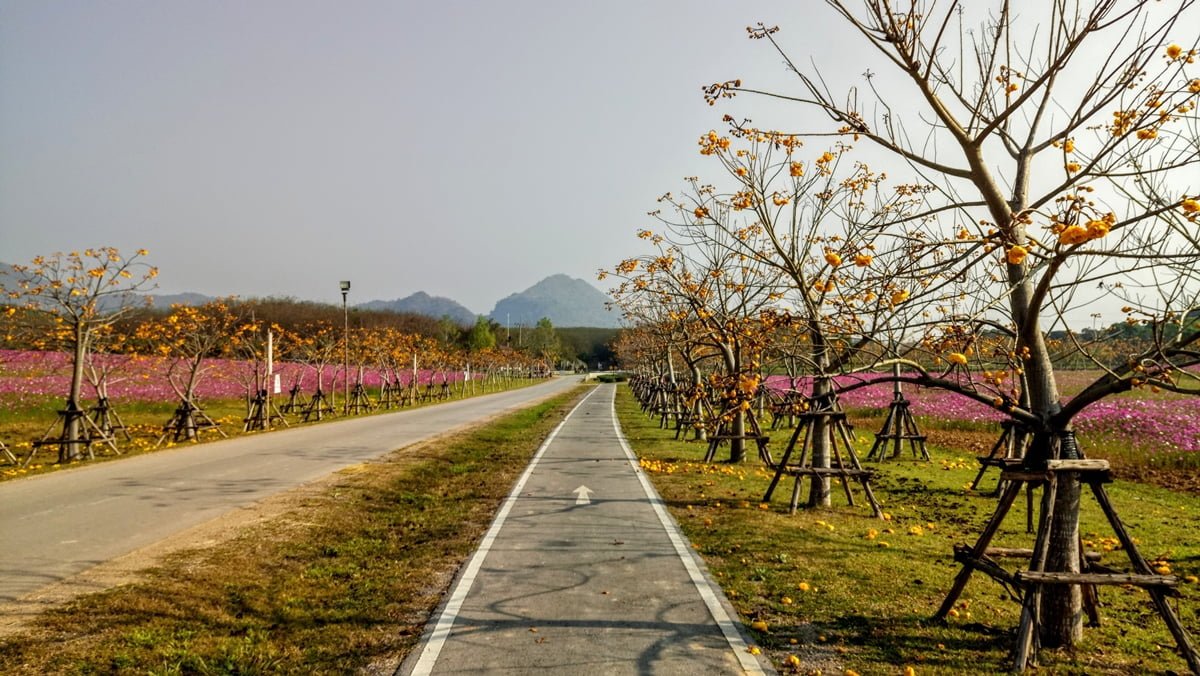 tailandia in bici