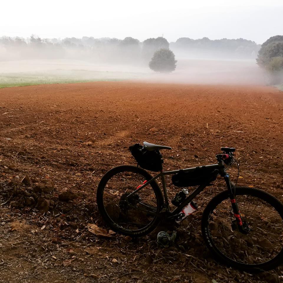 Incentivare l’uso della bici ci renderebbe davvero più sani?