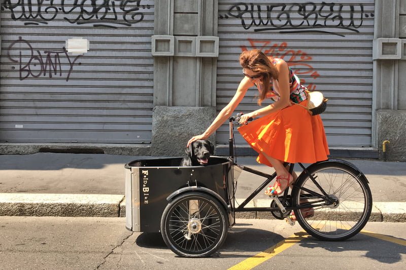 cargo-bike-noleggio-fridabike 2