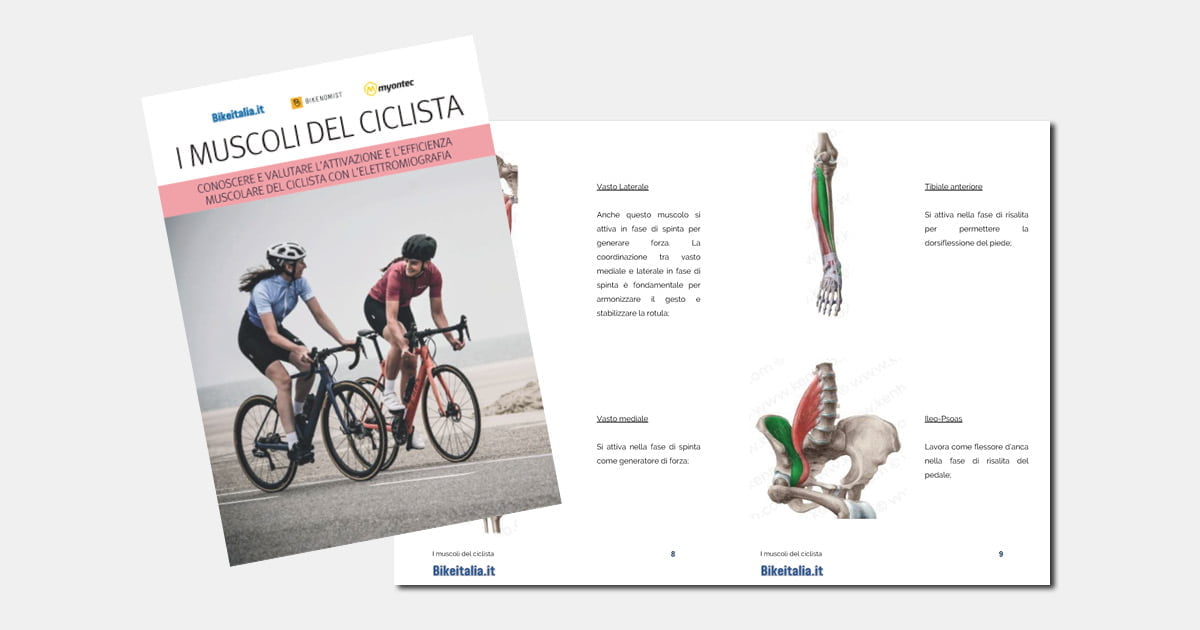 I muscoli del ciclista - Scarica l'ebook gratuito di Bikeitalia.it