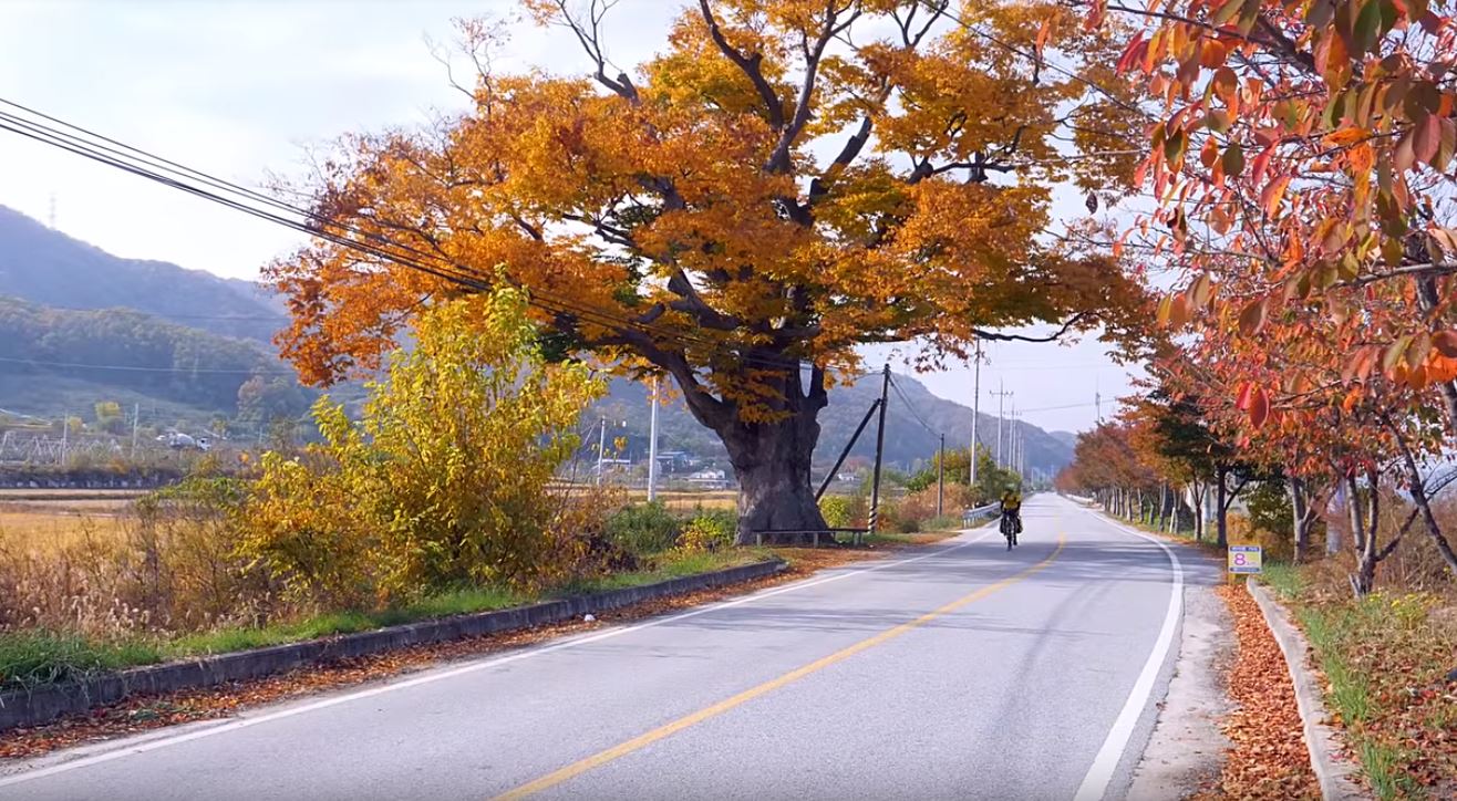 corea del sud in bici