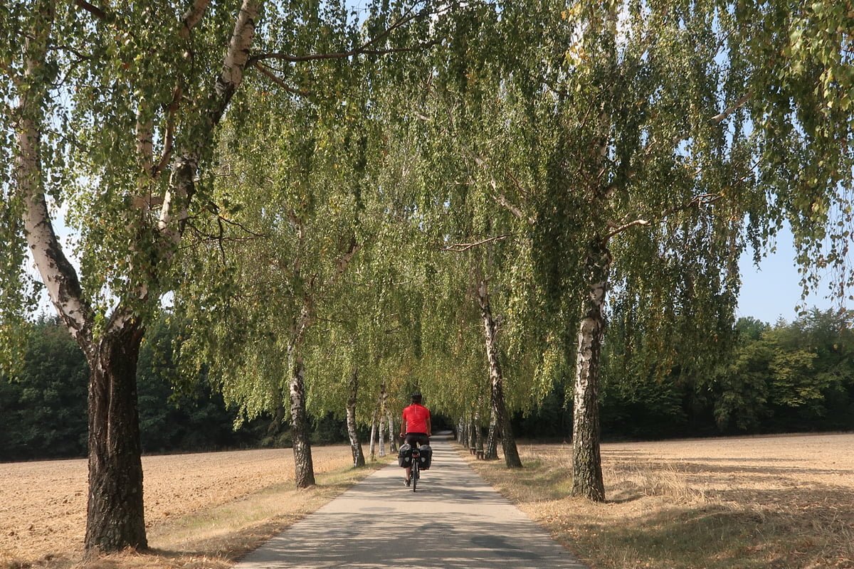 moravia-meridionale-bici
