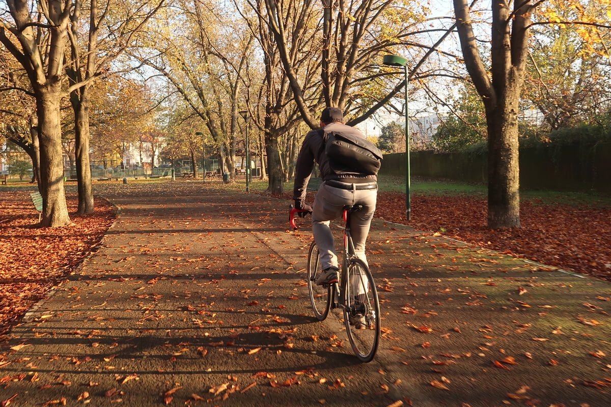 hikari-pedaled-1