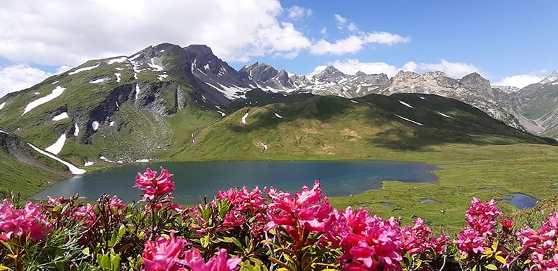 traversata_alpi