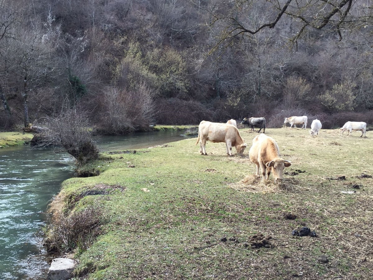 Lazio Trail Bikepacking