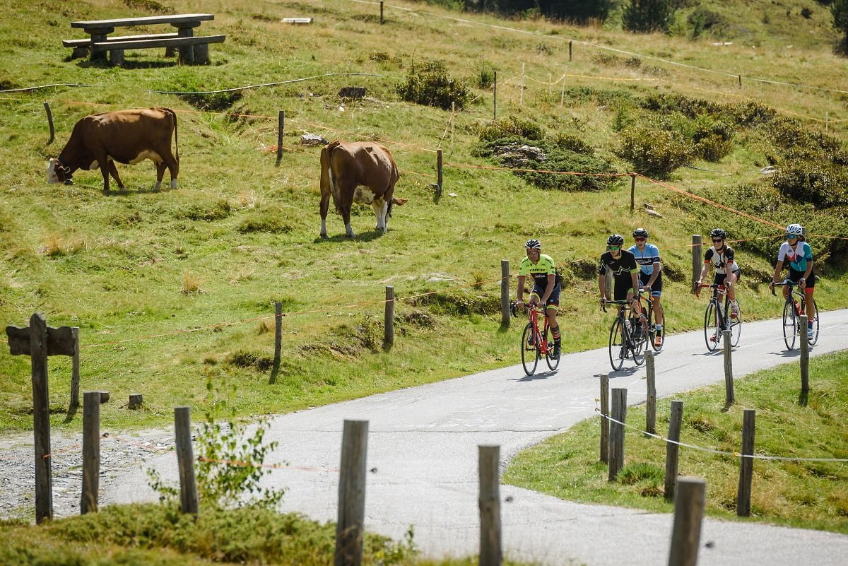 Valtellina in bici