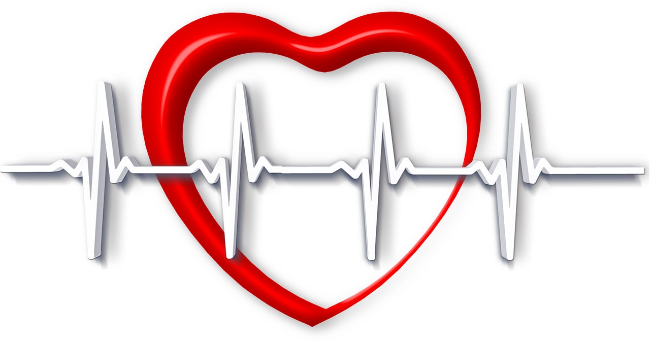 HRV: la Variabilità della Frequenza Cardiaca, spiegata bene