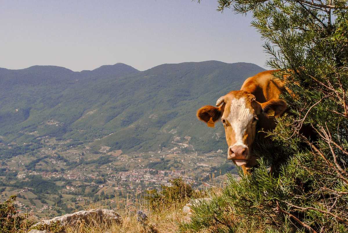 Pietrelcina Ciclovia Appennino Bike Tour