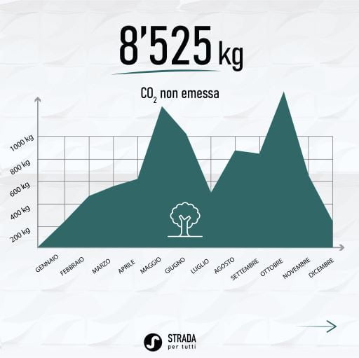 Strada per tutti grafico CO2