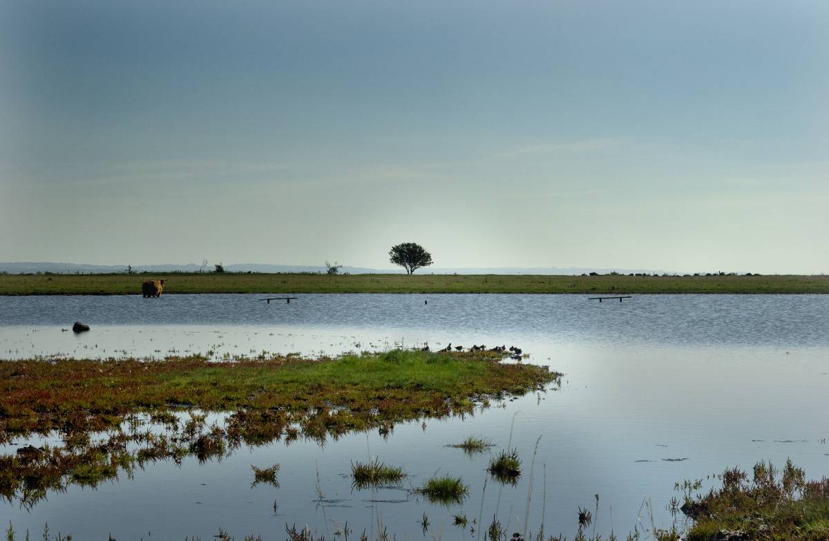 panorama mare Danimarca