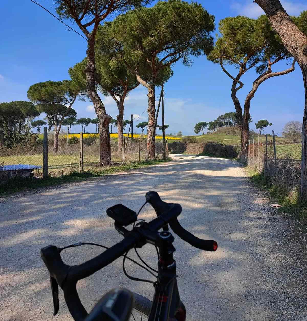 veientana greenway 2