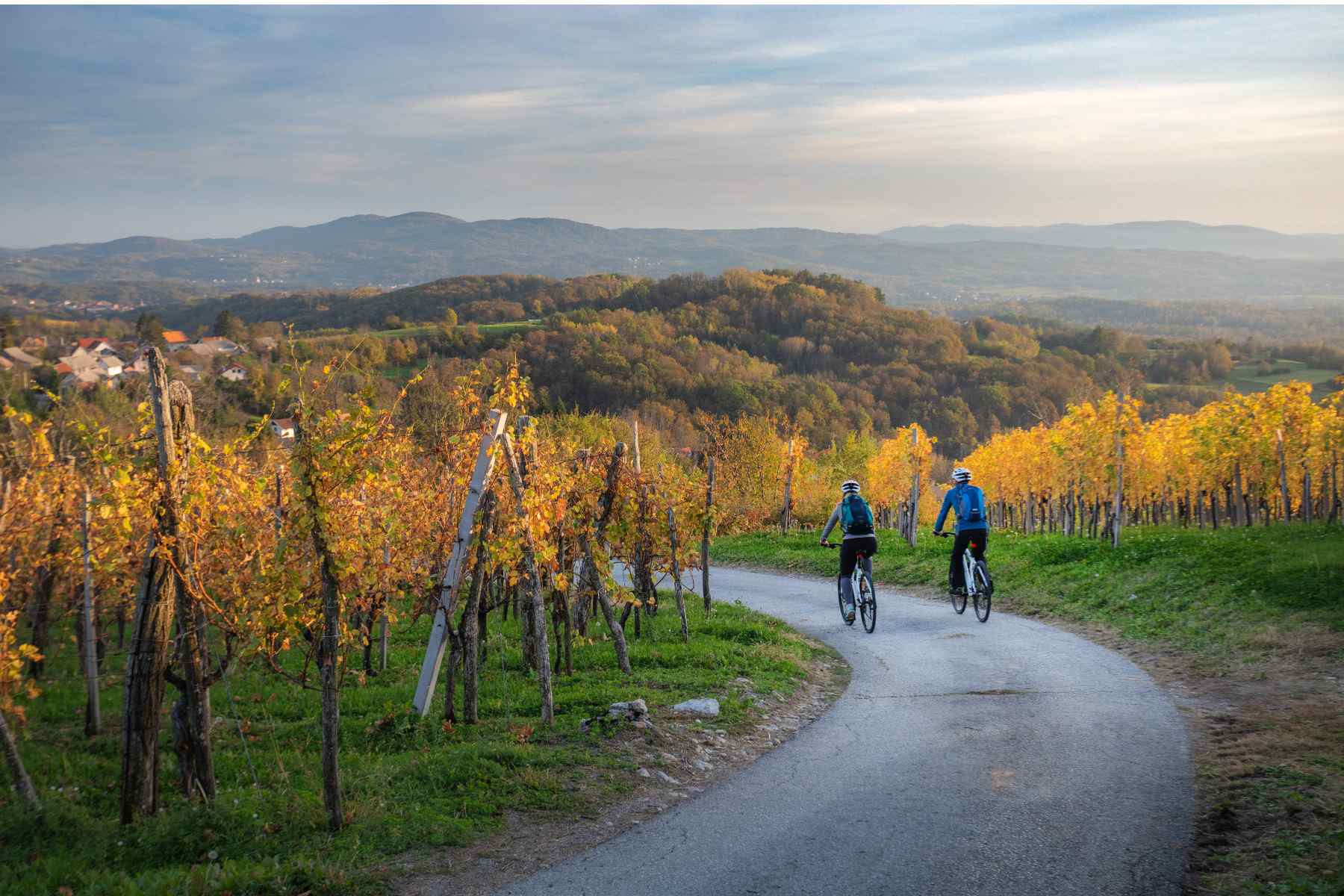 bela-krajina-kolesarjenje-in-bici