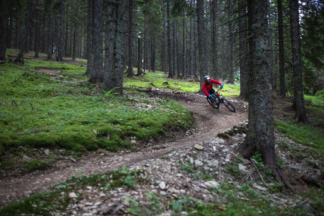 bike-park-rogla-jost-gantar