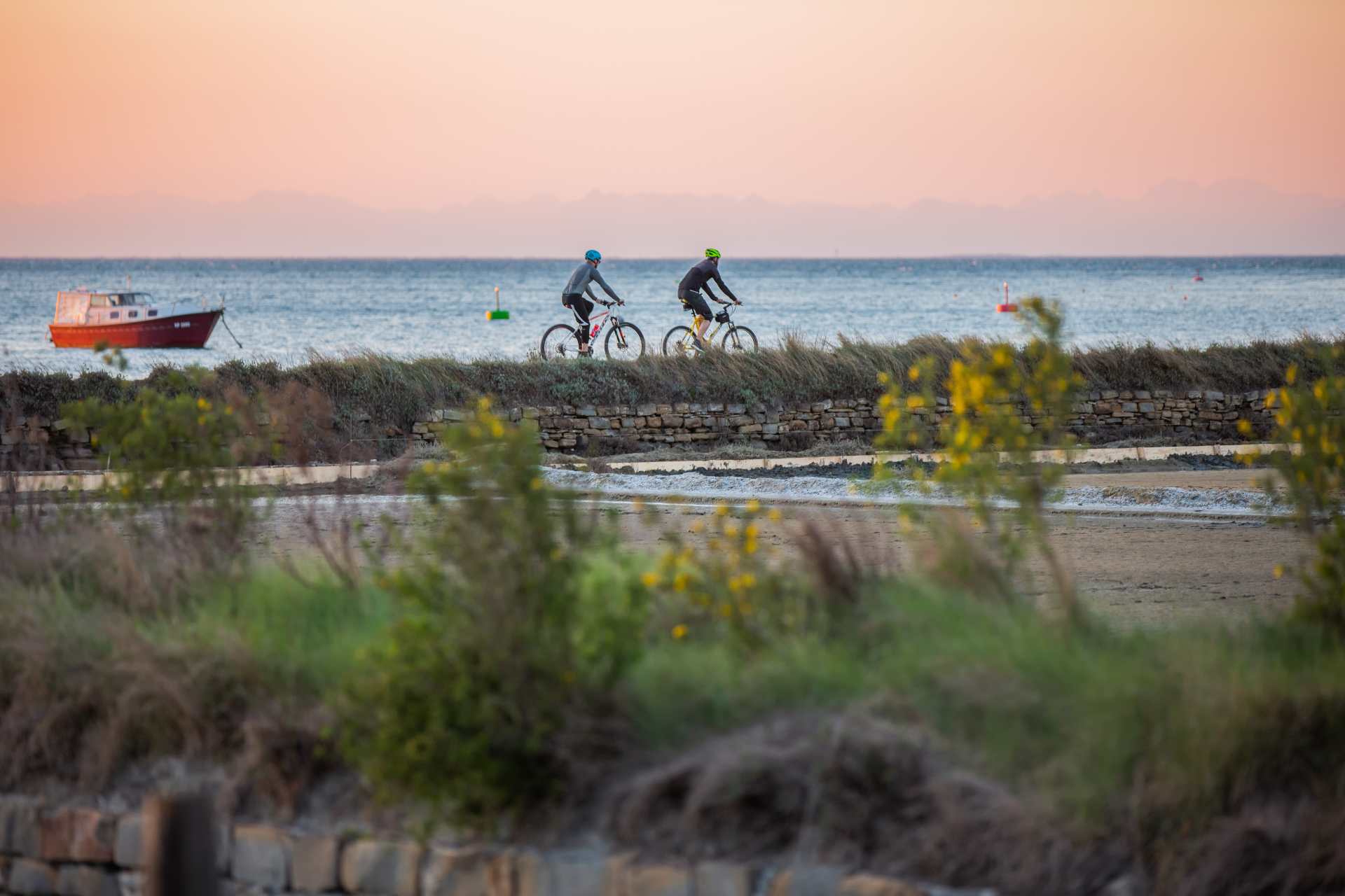 istri-strunjan-kolesarjenje-in-bici