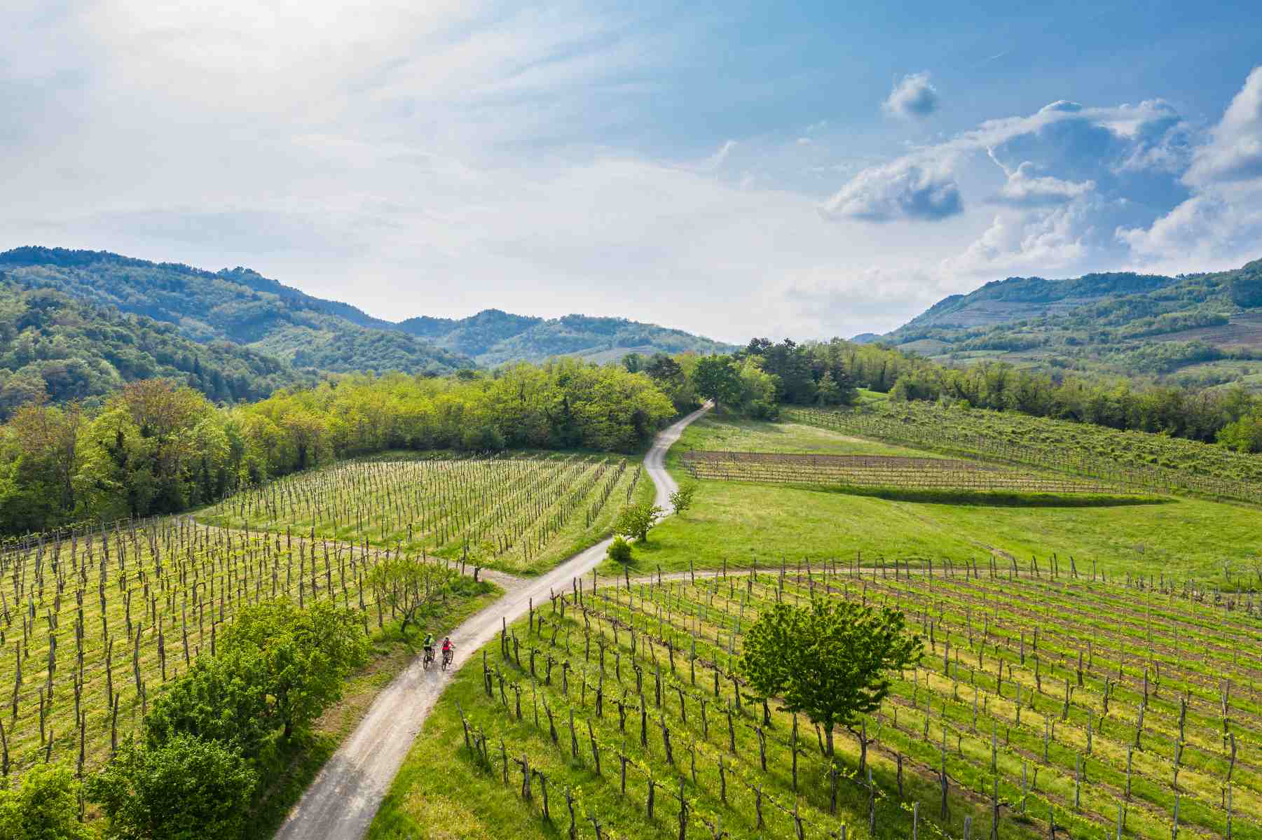 Slovenia: 10 buoni motivi per scegliere la “Green Gourmet Route”