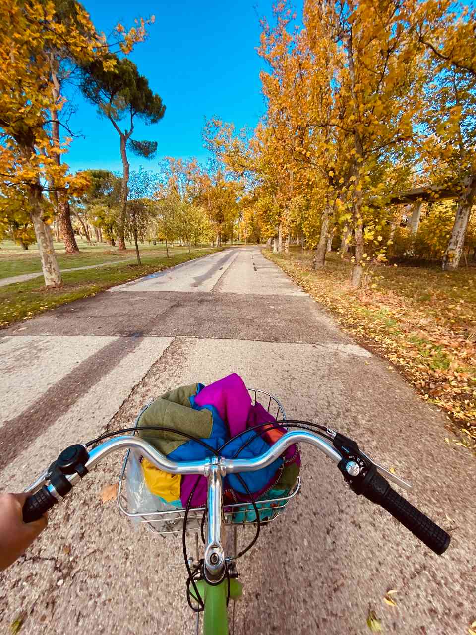 Scoprire Madrid in bicicletta