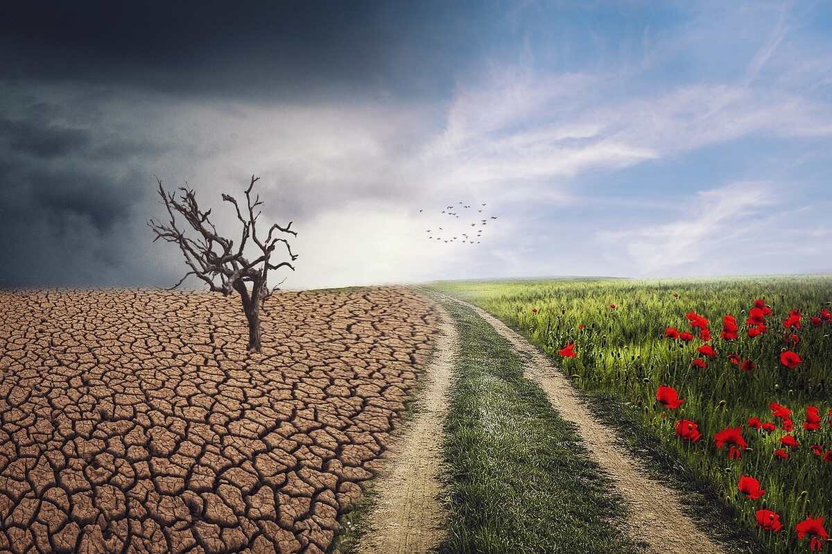 Emergenza climatica