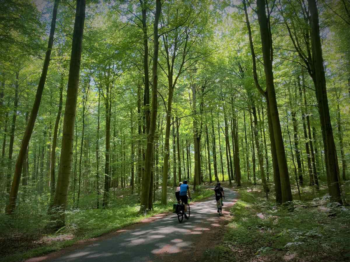 Itinerario iconico della Cintura Verde di Bruxelles - Fiandre