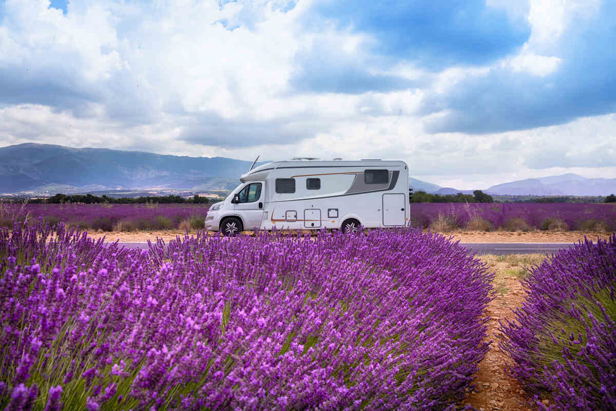 Camper e bicicletta campo di lavanda cicloturismo