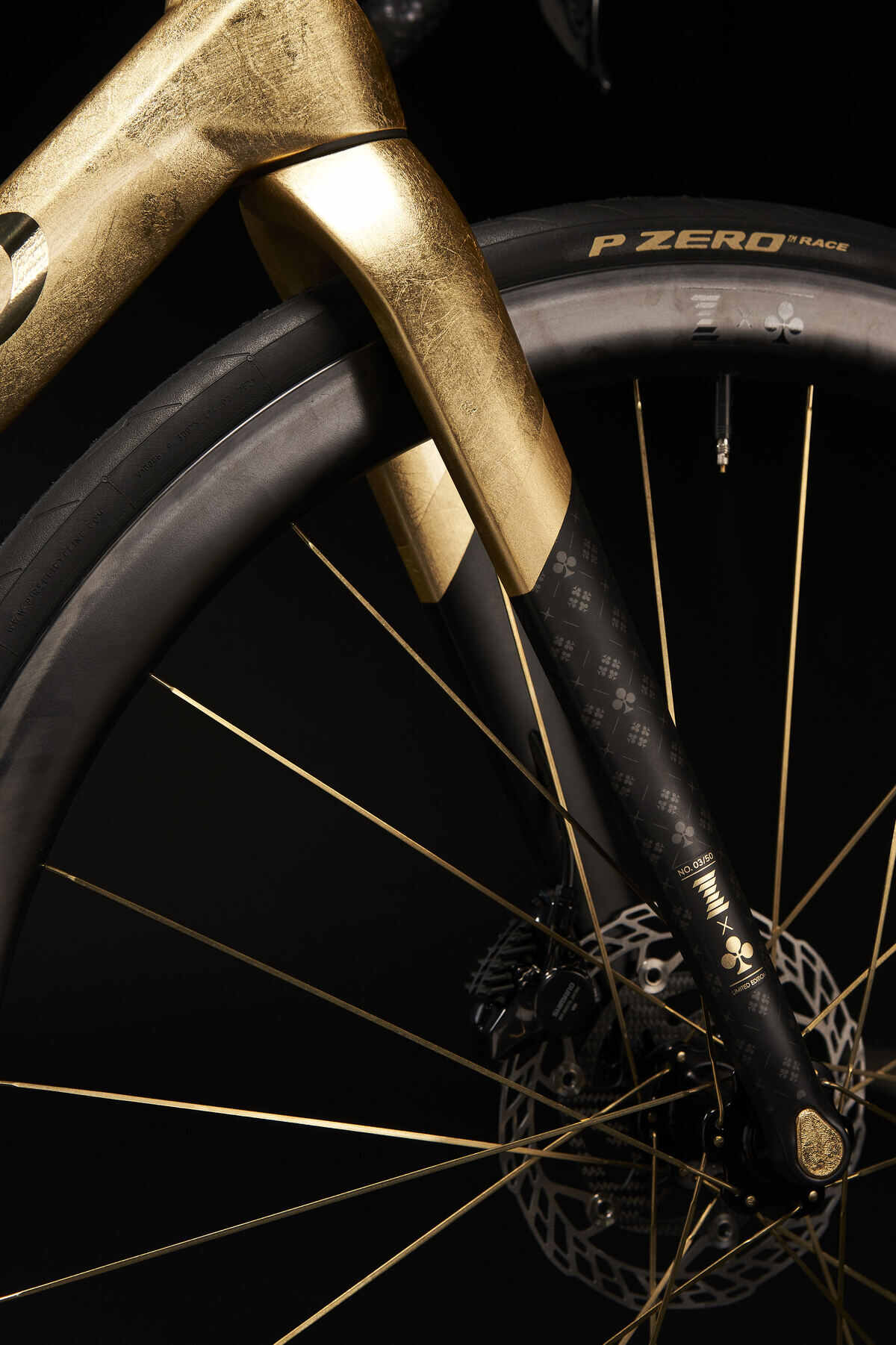 Particolare della forcella della bici Colnago Gioiello Numero 1 C68