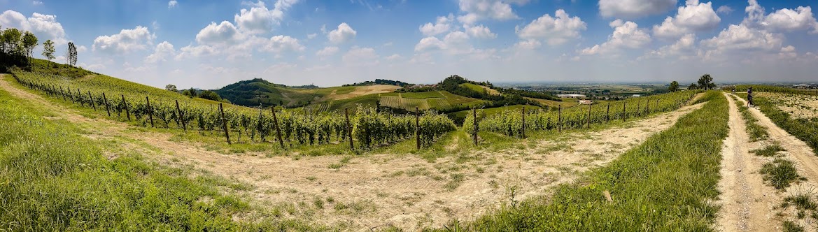 Una panoramica dei Colli del Monferrato