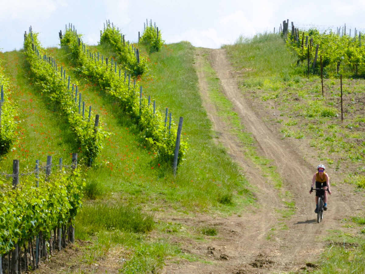 Piemonte Gravel saliscendi tra le vigne