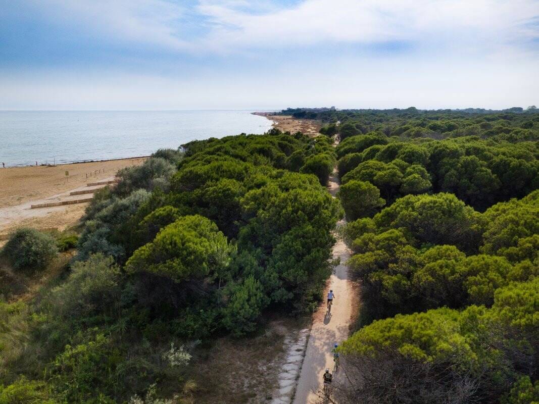 Bibione in bici verde e ciclabile
