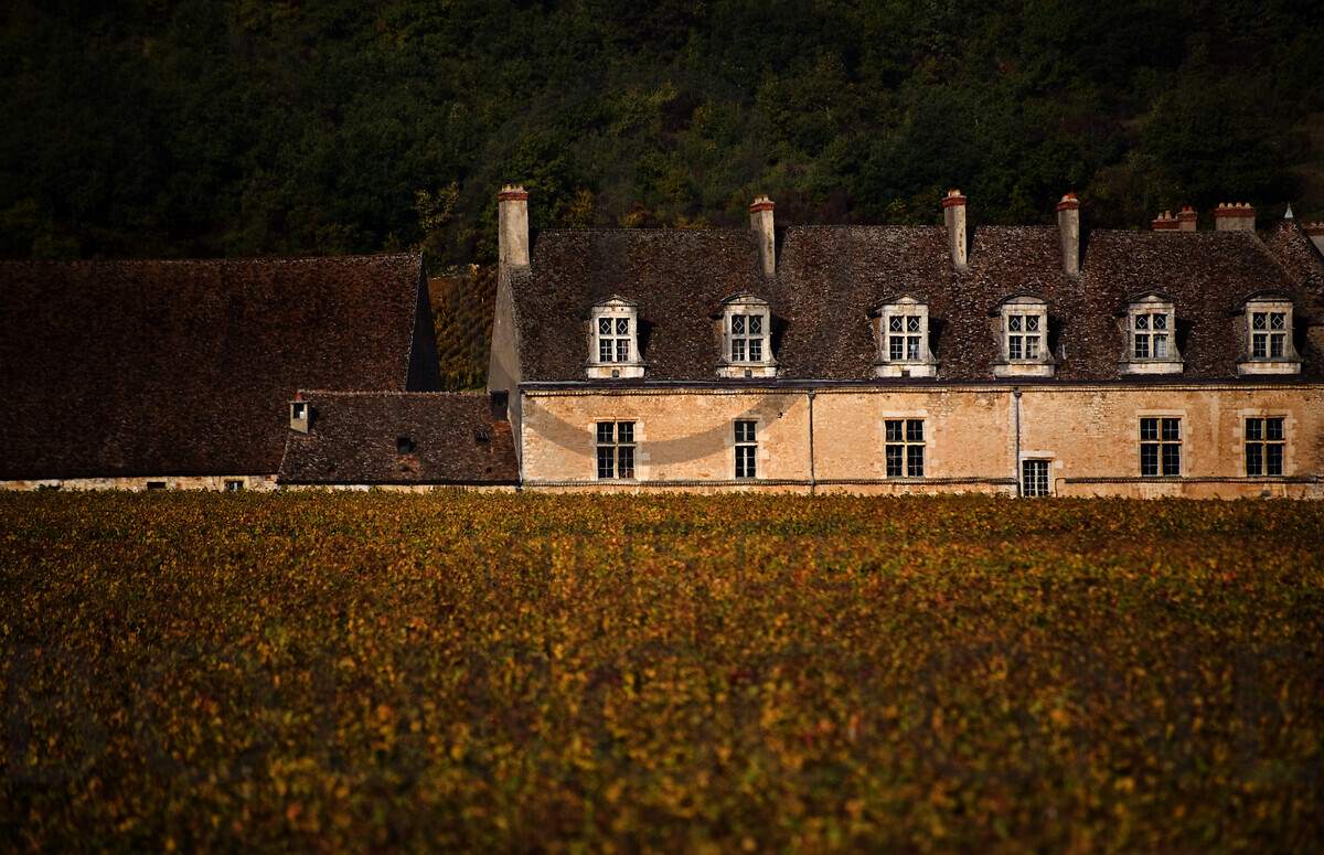 Château du Clos de Vougeot Francia crediti BIVB www.armellephotographe.com