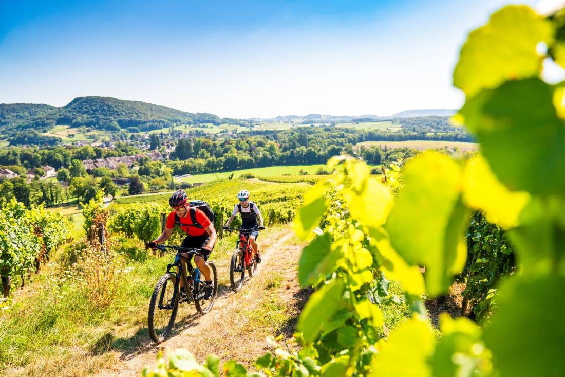 Bici e vigneti, Francia, crediti BECKER-JURATOURISME