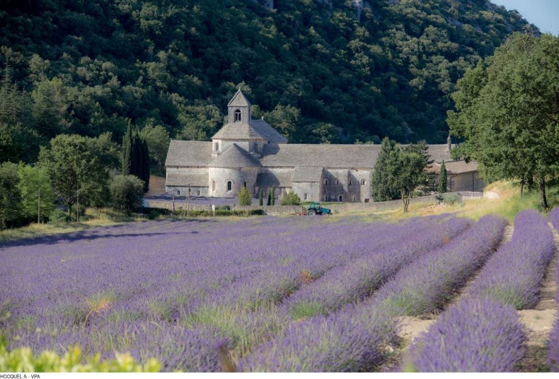 Abbazia di Senanque, Provenza crediti HOCQUEL A - VPA