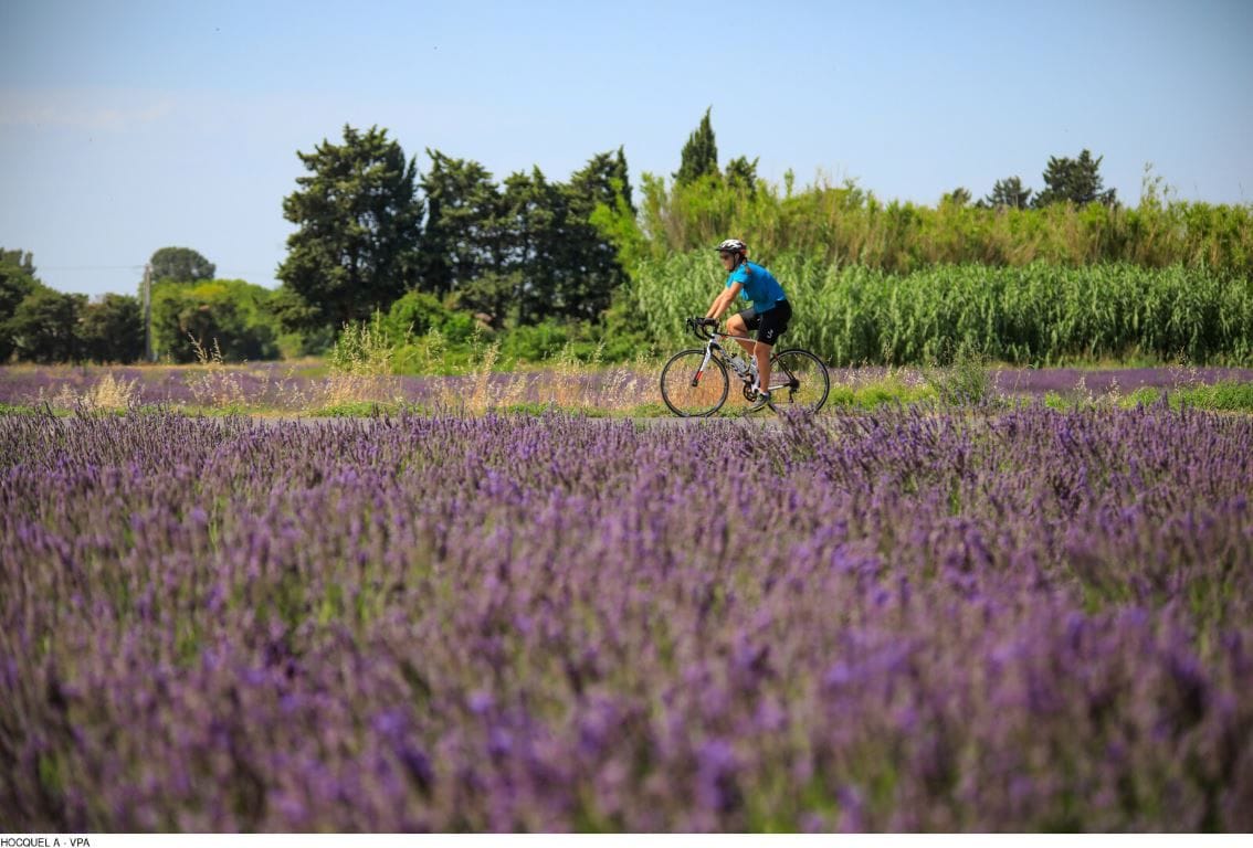 In bici in Provenza crediti HOCQUEL A - VPA