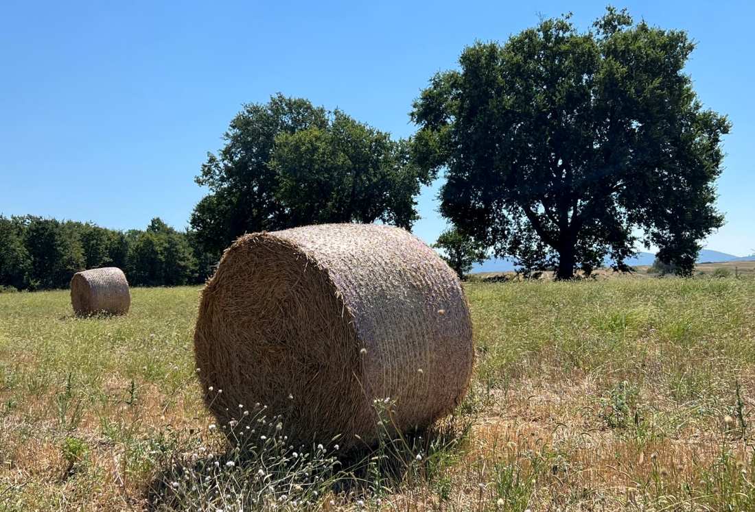 Valdelsa - Via Francigena, crediti Enrico Rugi