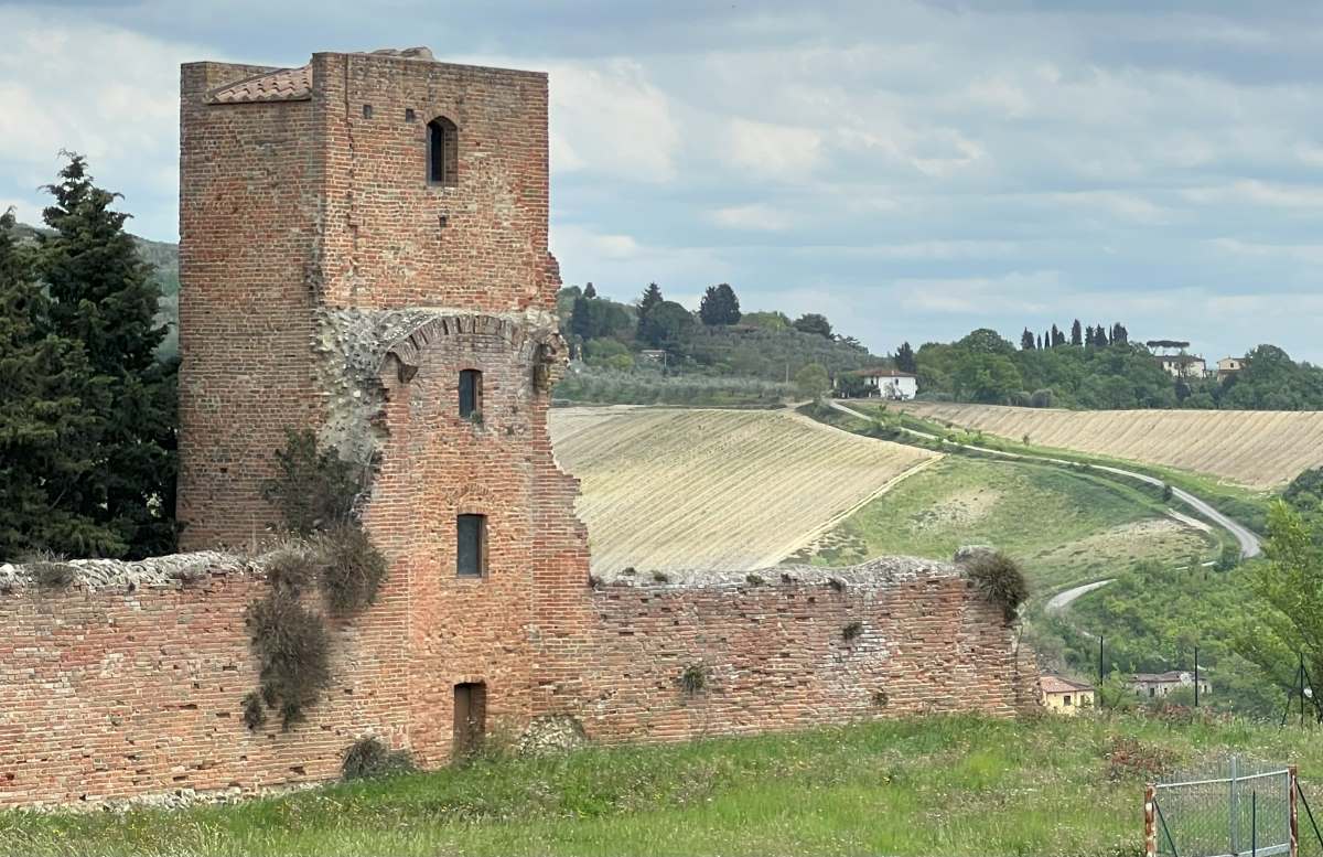 Valdelsa Via Pian Grande - girasoli di Enrico Rugi