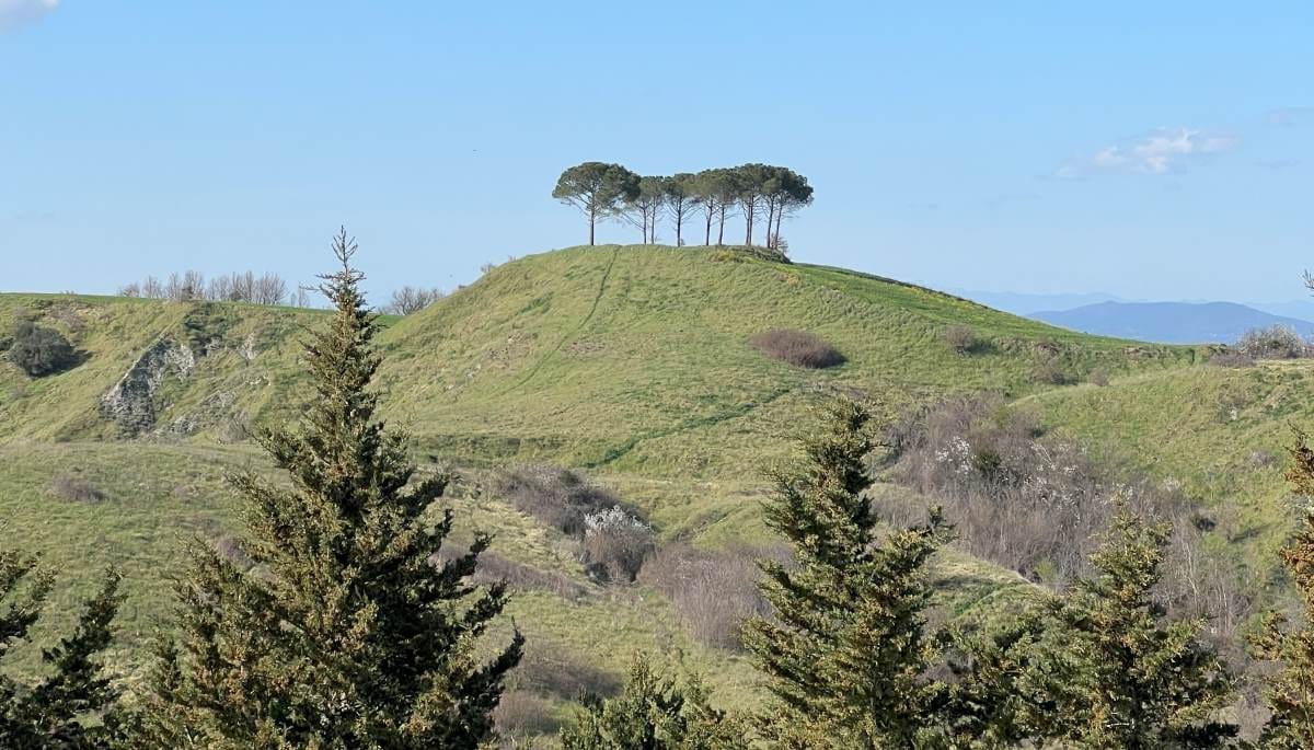 Valdelsa Certaldo - calanchi di Enrico Rugi